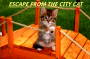 escape_from_the_citty_cat_cover.png